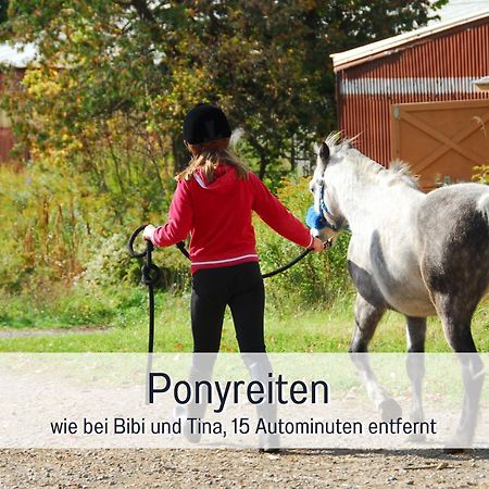 Natur-Chalet Zum Nationalpark Franz Inkl. E-Auto Allenbach Dış mekan fotoğraf