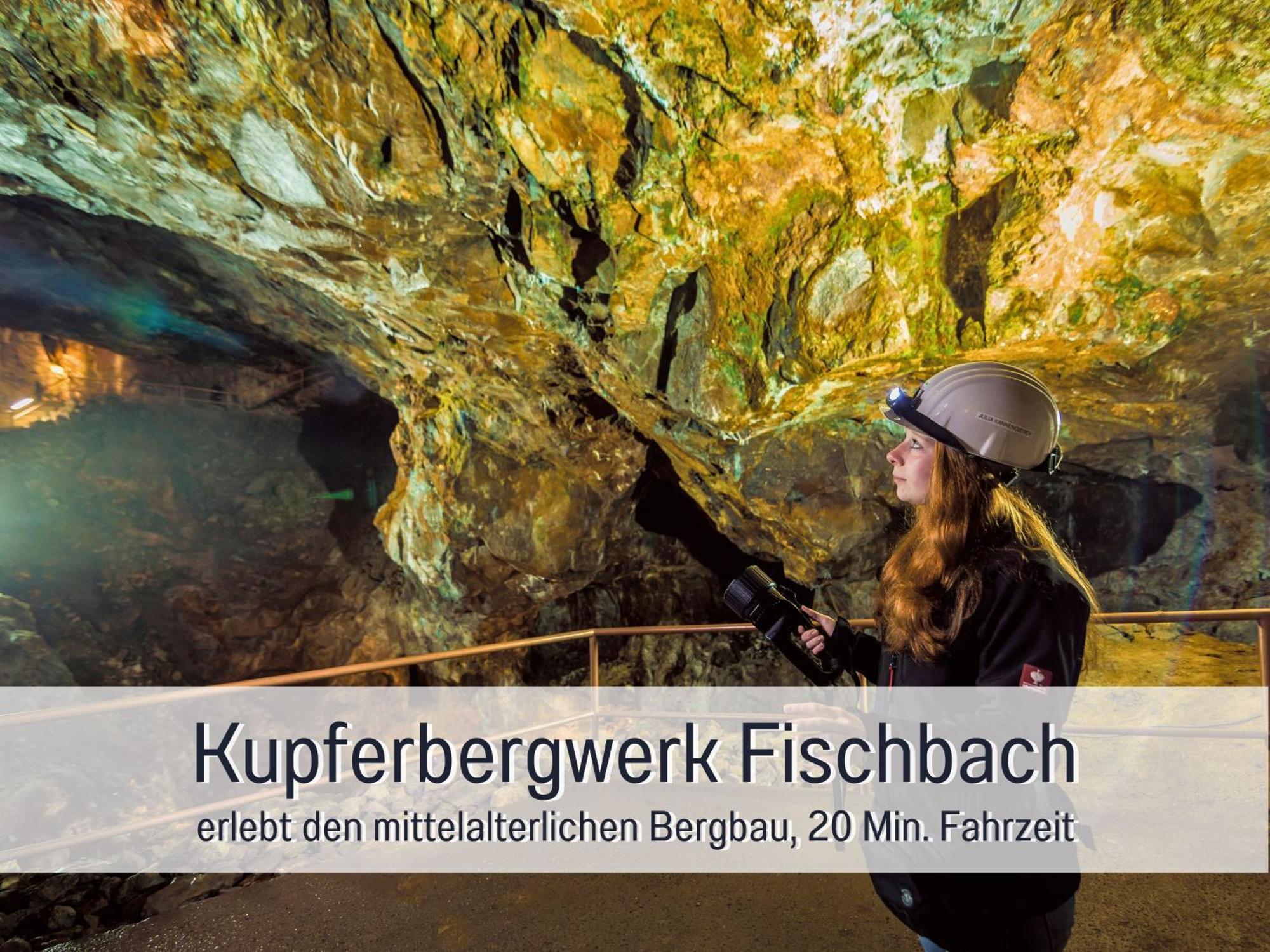 Natur-Chalet Zum Nationalpark Franz Inkl. E-Auto Allenbach Dış mekan fotoğraf