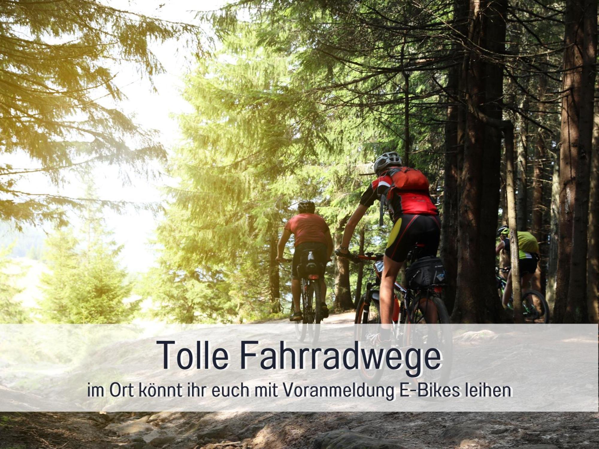 Natur-Chalet Zum Nationalpark Franz Inkl. E-Auto Allenbach Dış mekan fotoğraf