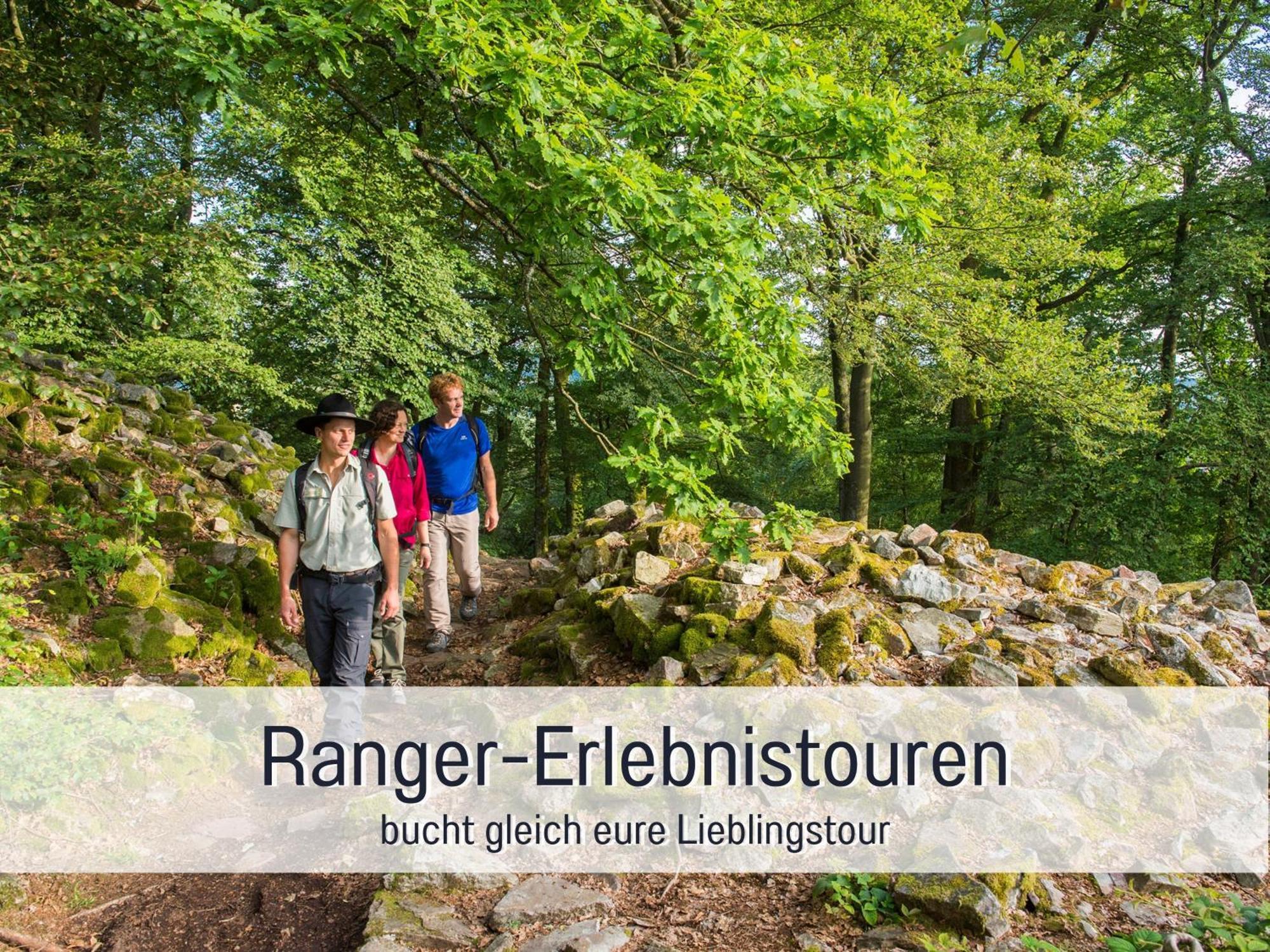 Natur-Chalet Zum Nationalpark Franz Inkl. E-Auto Allenbach Dış mekan fotoğraf
