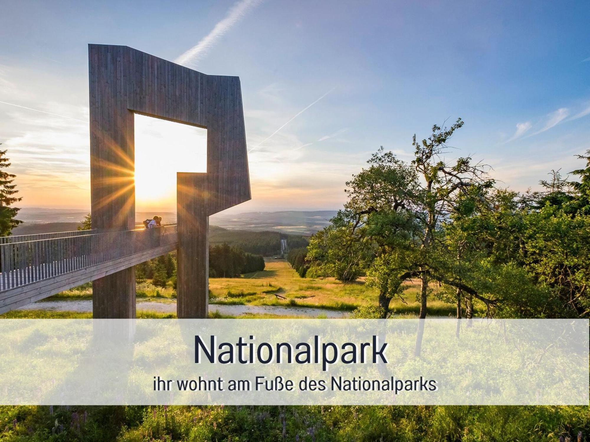 Natur-Chalet Zum Nationalpark Franz Inkl. E-Auto Allenbach Dış mekan fotoğraf